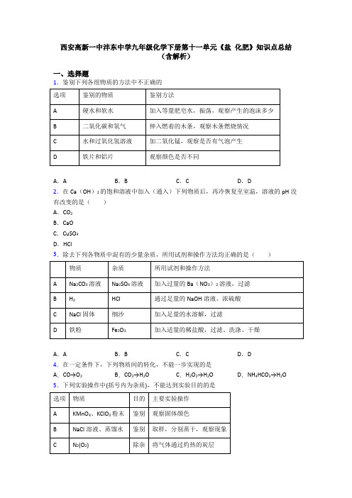 西安高新一中沣东中学九年级化学下册第十一单元《盐 化肥》知识点总结(含解析)