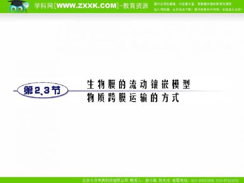 2011年高考生物一轮复习课本知识整合：必修1第4章第2、3节.ppt