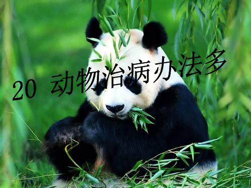 最新湘教版小学语文三年级上册课件:动物治病办法多多课件 优质课件