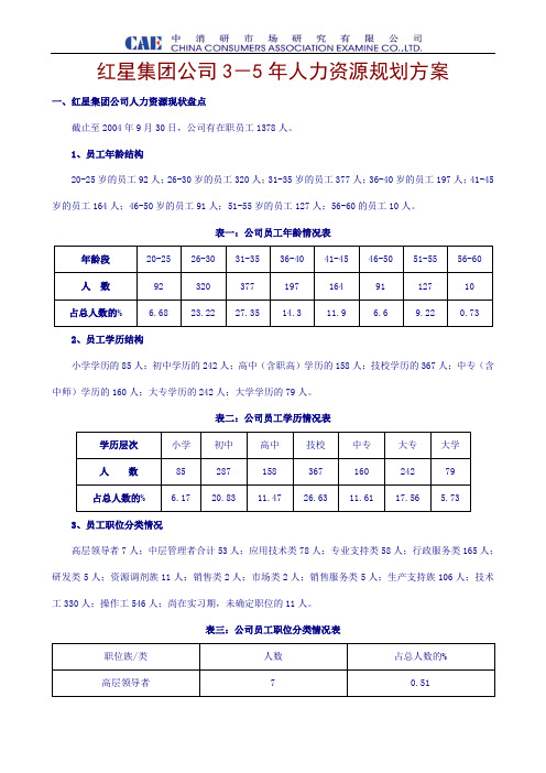 《红星集团公司人力资源规划方案》doc.doc