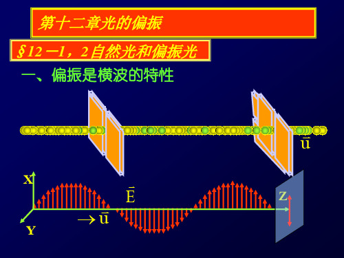 【大学物理】第12光的偏振