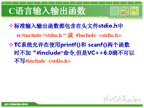 C语言输入输出函数介绍.ppt