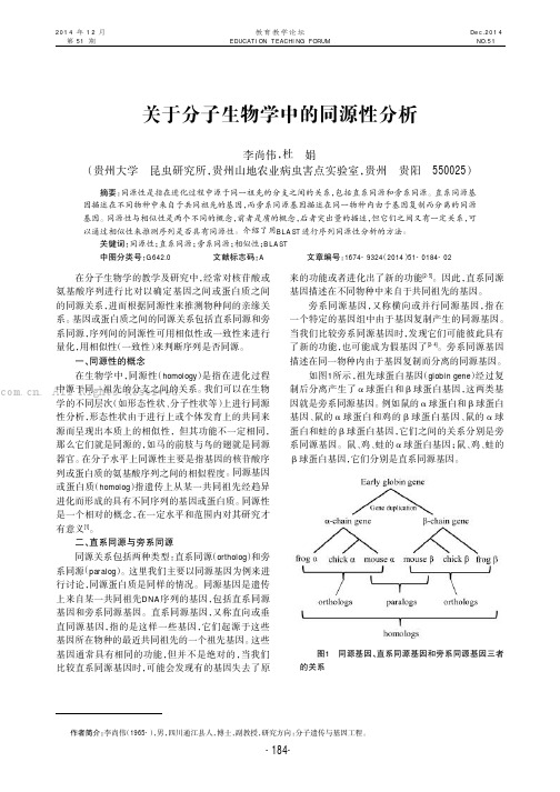 关于分子生物学中的同源性分析