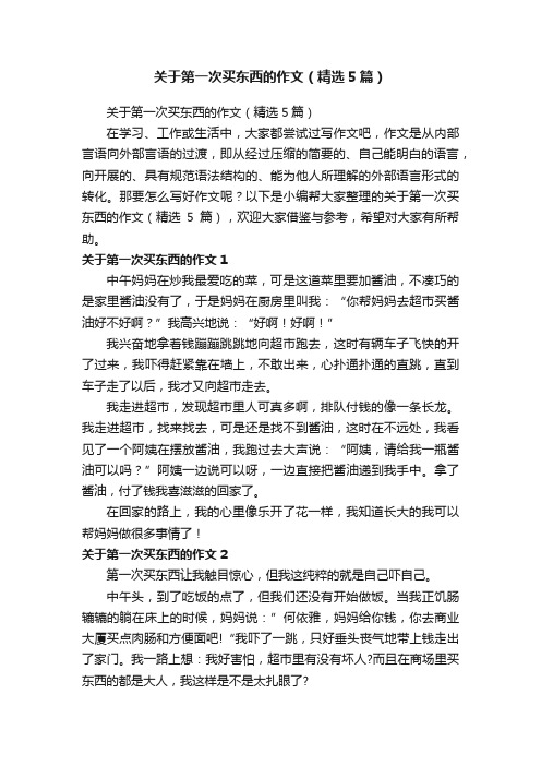 关于第一次买东西的作文（精选5篇）