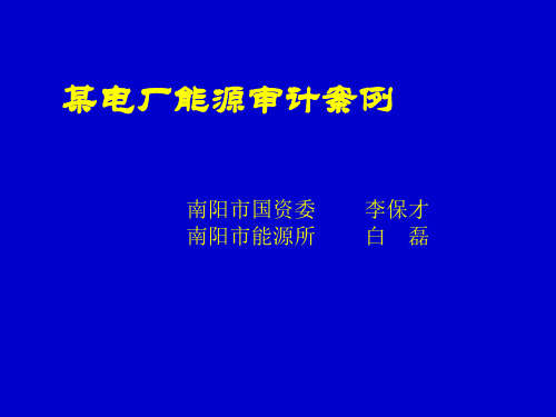 某电厂能源审计案例