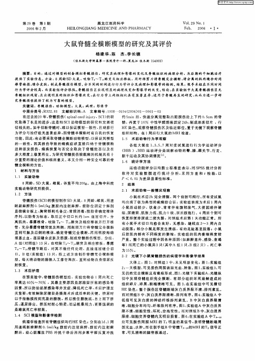 大鼠脊髓全横断模型的研究及其评价