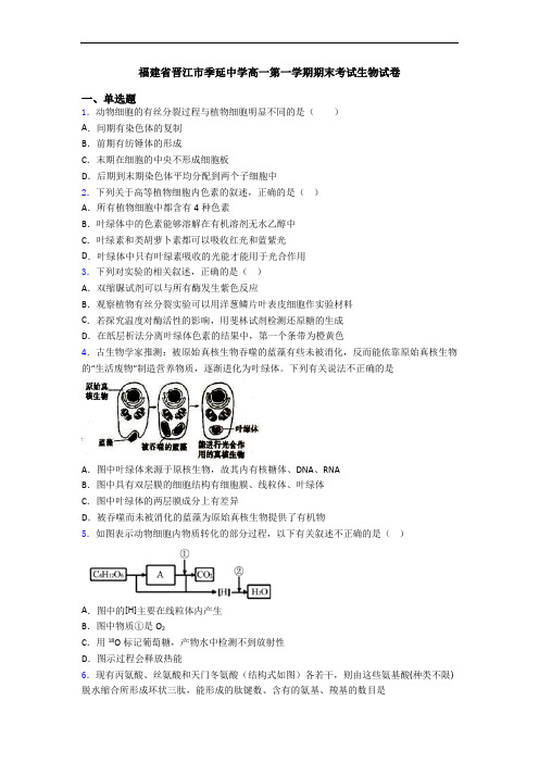 福建省晋江市季延中学高一第一学期期末考试生物试卷