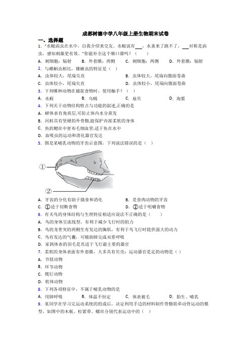 成都树德中学八年级上册生物期末试卷