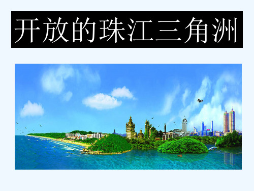 6.2.3开放的珠江三角洲PPT课件