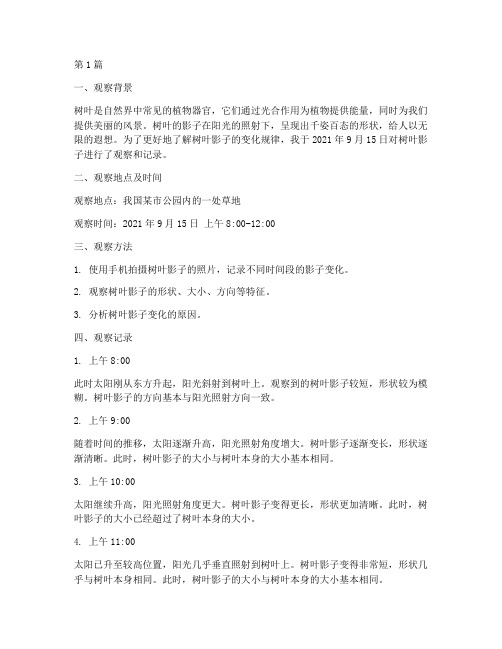 树叶影子观察记录(2篇)