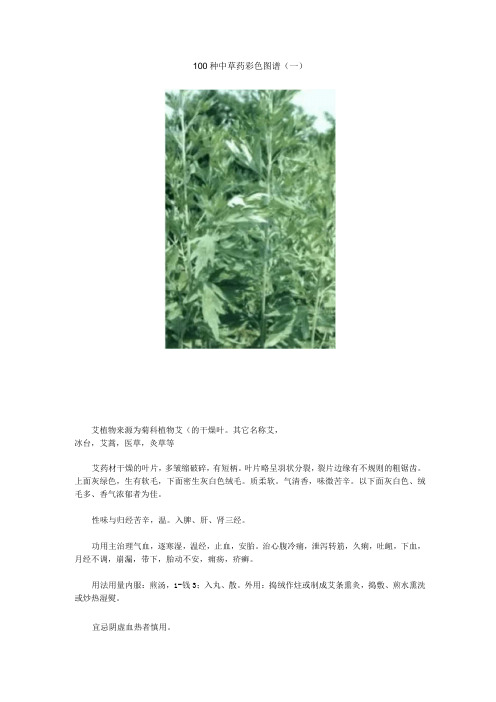 100种中草药彩色图谱