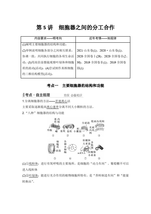 细胞器之间的分工合作