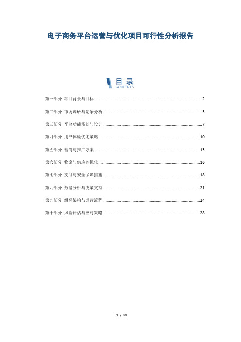 电子商务平台运营与优化项目可行性分析报告