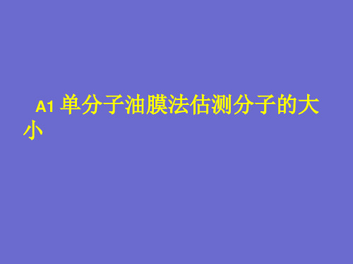 物理高一第二学期(试用版)-第六章 A 单分子油膜法估测分子的大小 课件