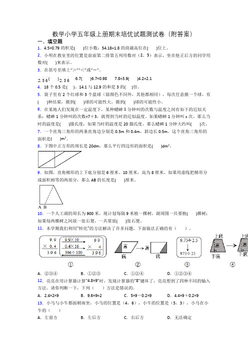 数学小学五年级上册期末培优试题测试卷(附答案)