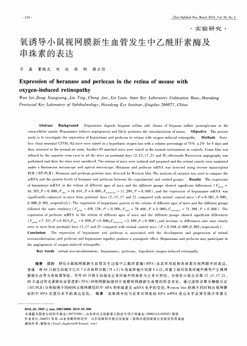 氧诱导小鼠视网膜新生血管发生中乙酰肝素酶及串珠素的表达