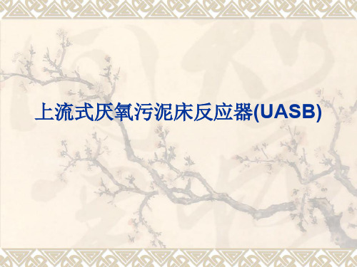 上流式厌氧污泥床反应器(UASB)