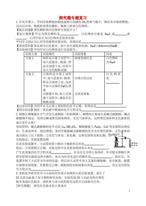 湖北省孝感市孝南区肖港初级中学中考化学 探究题专题复习(无答案) 新人教版