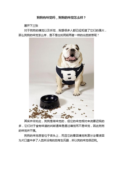 狗狗有味觉吗，狗狗的味觉怎么样？