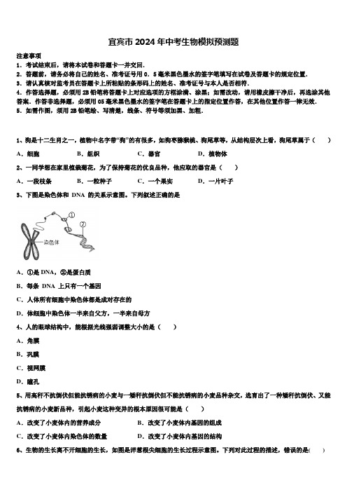 宜宾市2024届中考生物模拟预测题含解析