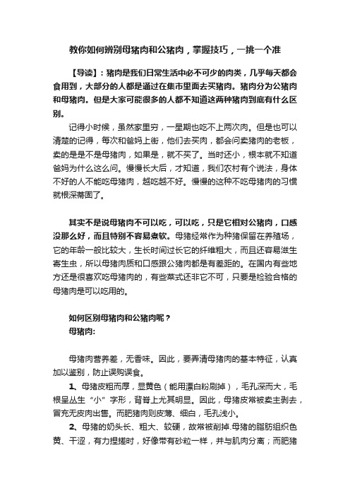 教你如何辨别母猪肉和公猪肉，掌握技巧，一挑一个准