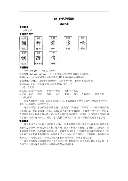 六年级语文上册-第十一册要点难点 金色的脚印