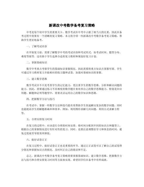 新课改中考数学备考复习策略