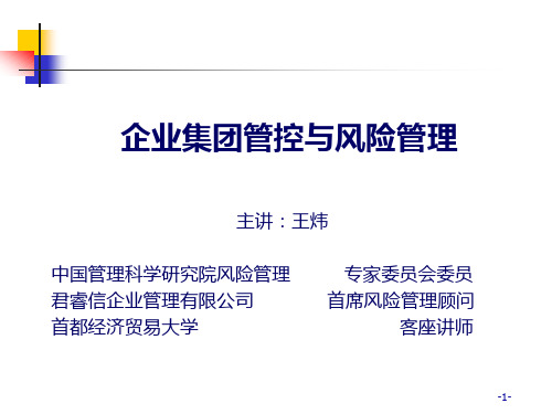 集团管控与企业全面风险管理——王炜