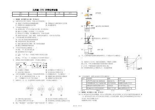 深圳市九年级(下)开学化学试卷解析版