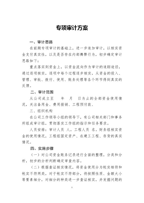 公司专项审计方案