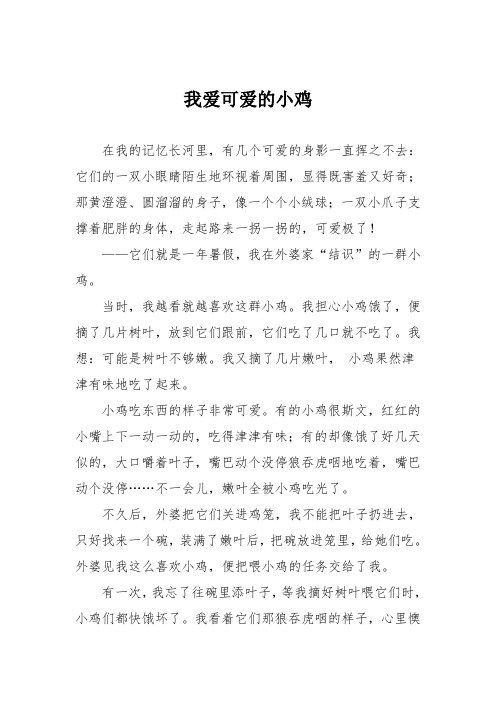 小学五年级作文：我爱可爱的小鸡