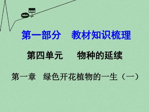 中考生物 第一部分 教材知识梳理 第四单元 第一章 绿色开花植物的一生复习课件 (1)