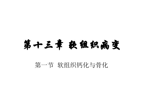 精品医学课件-软组织病变