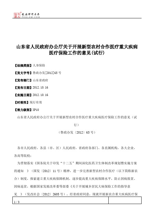 山东省人民政府办公厅关于开展新型农村合作医疗重大疾病医疗保险