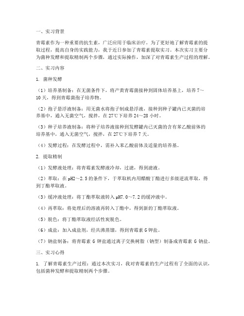 青霉素提取实习报告