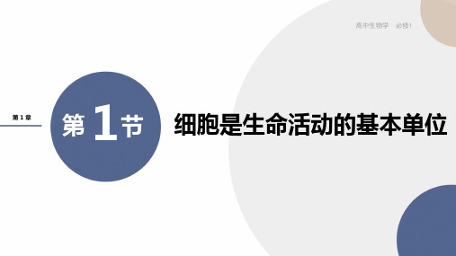 新人教版必修1第1章第1节细胞是生命活动的基本单位课件(40张)