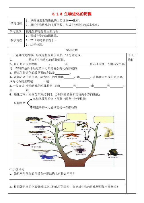 济南初中生物八下《5.1第3节 生物进化的历程》word教案 (1)