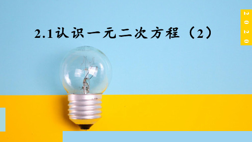 北师大版九年级上册2.1认识一元二次方程(2)课件(共19张PPT)