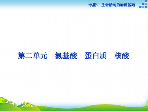 高二化学苏教版选修5 专题5第二单元 氨基酸 蛋白质 核酸 课件(60张)