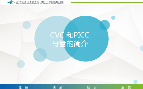 CVC和PICC导管的简介PPT课件