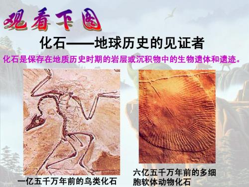 16 化石吟
