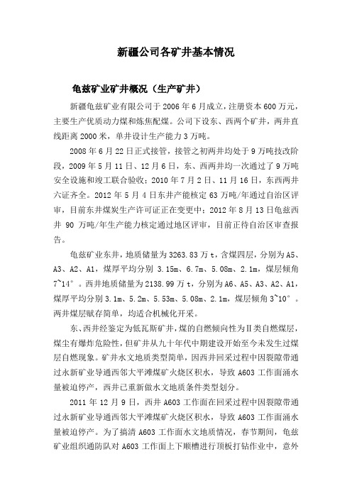 新疆公司各矿井基本情况汇总