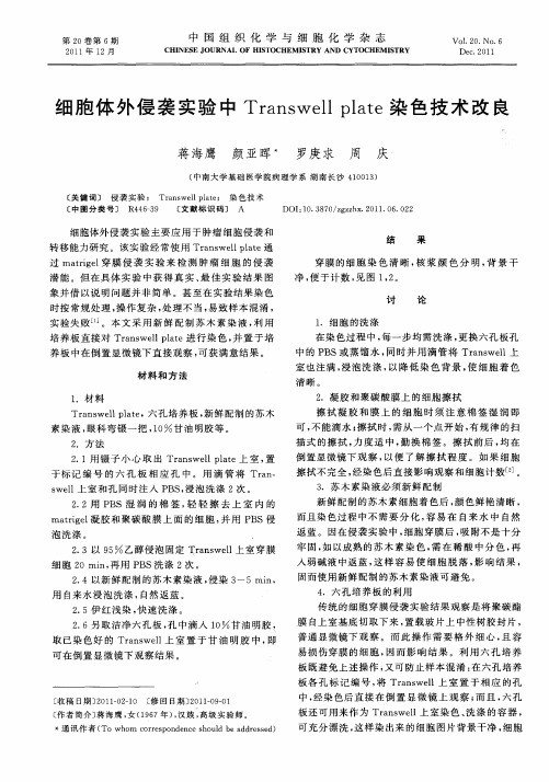 细胞体外侵袭实验中Transwell plate染色技术改良