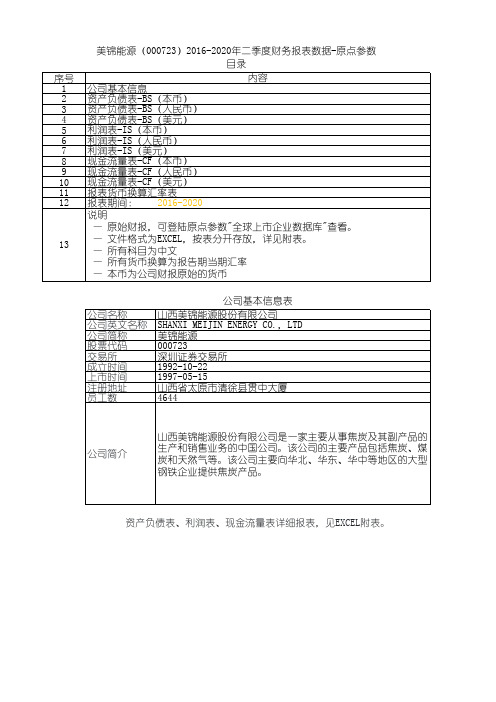 美锦能源(000723)2016-2020年二季度财务报表数据-原点参数