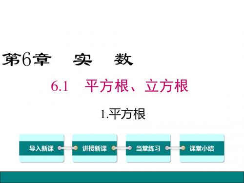 2018-2019学年沪科版七年级数学下册6.1.1 平方根公开课课件