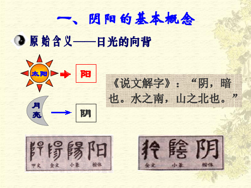 中医基础理论阴阳学说