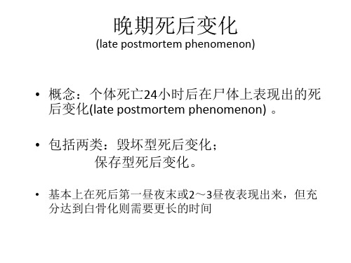 法医学PPT：晚期死亡变化