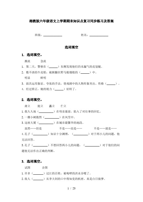 湘教版六年级语文上学期期末知识点复习同步练习及答案