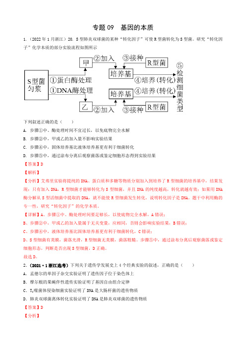 专题09  基因的本质(解析版) -  2020年和2021年新高考地区高考题分类汇编