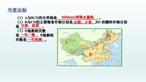 八年级地理上册  第四章中国的经济发展第二节农业第2课时课件16-18